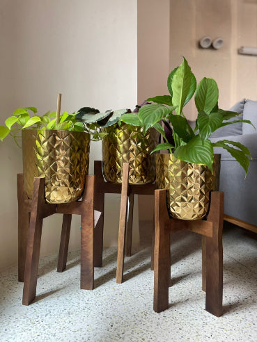 Indoor gold planters with live plants stylish hammered metal pots in solid wood stands for living rooms.