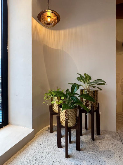 Corner decor with gold planters and green plants accented with ambient pendant lighting for cozy vibe.